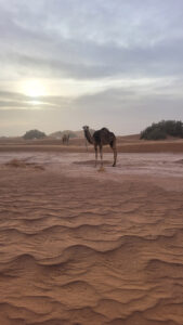 Sahara Retreat in Marokko